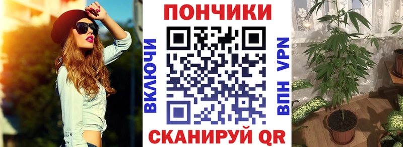 Конопля MAZAR  купить наркотики сайты  Ярцево 